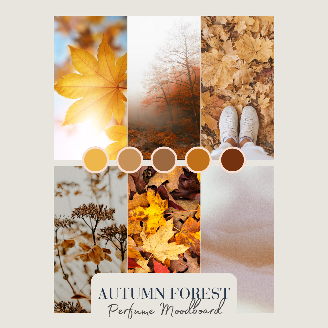autumn forest