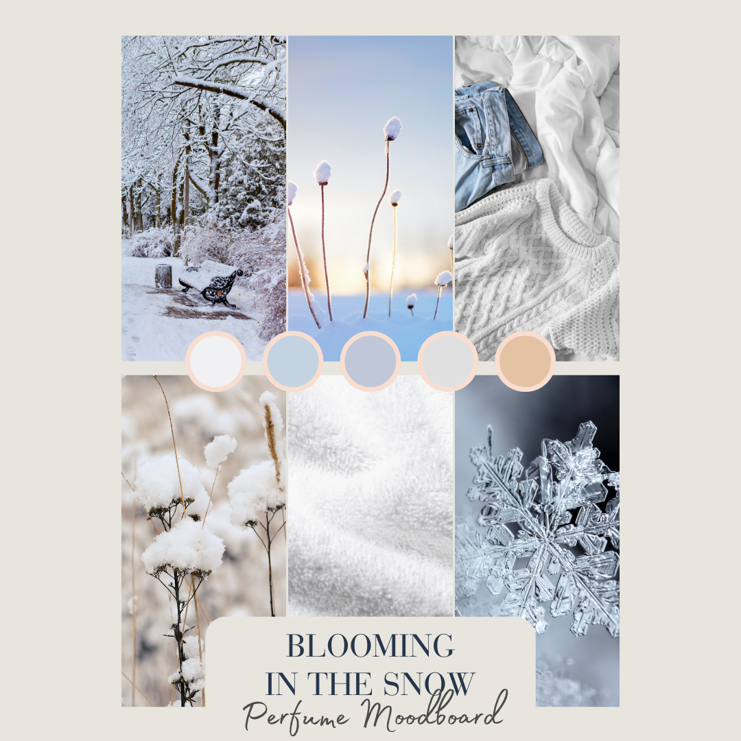 blooming in the snow