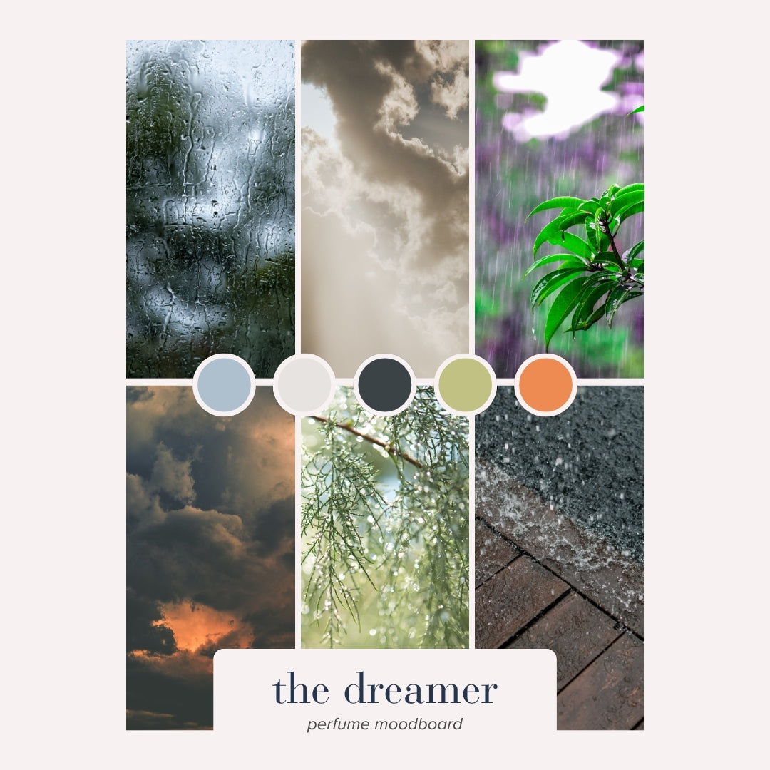 the <br> dreamer